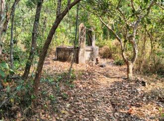 Commercial Land for Sale in Malappuram, Perinthalmanna, Anamangad, Manalaya ALP school road