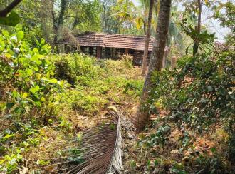 Commercial Land for Sale in Malappuram, Perinthalmanna, Anamangad, Manalaya ALP school road