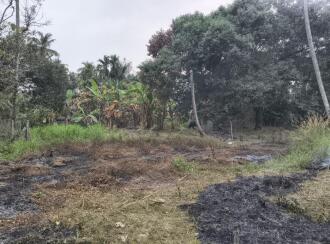 Residential Land for Sale in Thrissur, Guruvayur, Mullassery