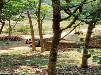 Residential Land for Sale in Pathanamthitta, Ranni, Eattichuvadu, 400M AWAY FROM eBENZER HIGH SCHOOL