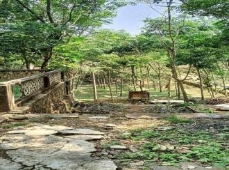 Residential Land for Sale in Pathanamthitta, Ranni, Eattichuvadu, 400M AWAY FROM eBENZER HIGH SCHOOL