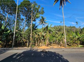 Residential Land for Sale in Wayanad, Kalpetta, Muttil, Kolavayal