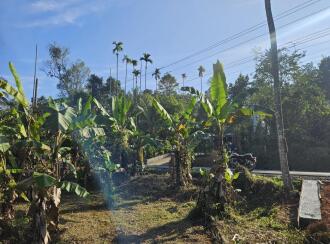 Residential Land for Sale in Wayanad, Kalpetta, Muttil, Kolavayal