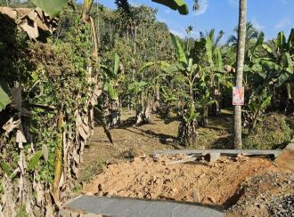 Residential Land for Sale in Wayanad, Kalpetta, Muttil, Kolavayal