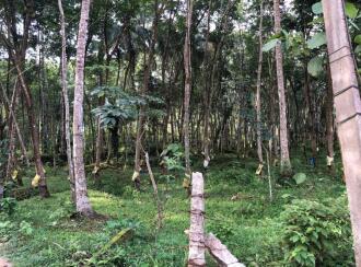 Residential Land, Trivandrum