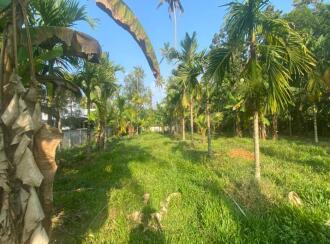 Residential Land for Sale in Ernakulam, Paravur, Chendamangalam, Kizhakkumpuram near kottatal