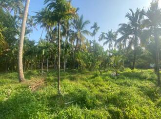 Residential Land for Sale in Ernakulam, Paravur, Chendamangalam, Kizhakkumpuram near kottatal