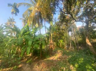 Residential Land for Sale in Ernakulam, Paravur, Chendamangalam, Kizhakkumpuram near kottatal