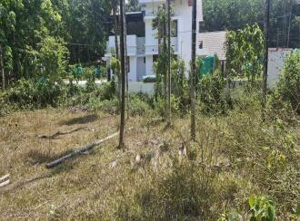 Residential Land, Idukki