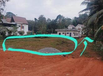 Residential Land for Sale in Idukki, Thodupuzha, Thekkumbhagam, Near Kallanickal church and school (250 meters), SBI Thekkumbhagam branch (250 meters)