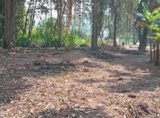 Residential Land for Sale in Alleppey, Chengannur, Perissery