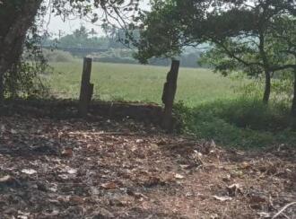 Residential Land for Sale in Alleppey, Chengannur, Perissery