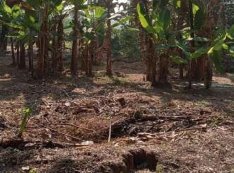 Residential Land for Sale in Alleppey, Chengannur, Perissery