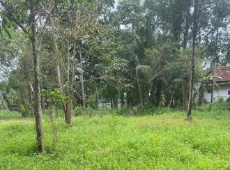 Residential Land for Sale in Kollam, Karunagapally, Karunagapally town, Padanayarkulangara North
