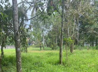 Residential Land for Sale in Kollam, Karunagapally, Karunagapally town, Padanayarkulangara North