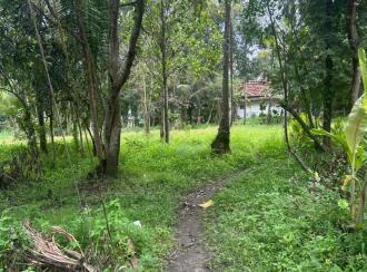 Residential Land for Sale in Kollam, Karunagapally, Karunagapally town, Padanayarkulangara North