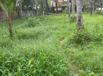 Residential Land for Sale in Kollam, Karunagapally, Karunagapally town, Padanayarkulangara North