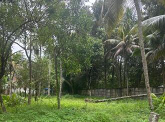 Residential Land for Sale in Kollam, Karunagapally, Karunagapally town, Padanayarkulangara North