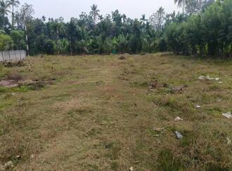 Residential Land for Sale in Ernakulam, Kalady, Kalady, Puthiyedam