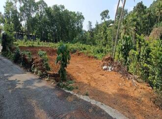 Residential Land for Sale in Ernakulam, Kanjiramattom, Arayankavu, BHAGAVATHY TEMPLE 1.5 KM