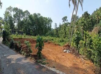 Residential Land for Sale in Ernakulam, Kanjiramattom, Arayankavu, BHAGAVATHY TEMPLE 1.5 KM