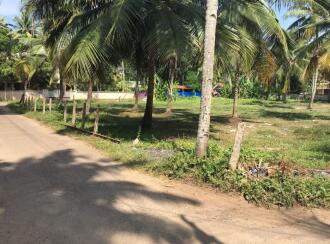 Residential Land for Sale in Alleppey, Kayamkulam, Kayamkulam town