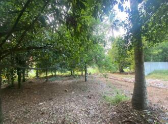 Residential Land for Sale in Ernakulam, Angamaly, Karukutty, Karipassery