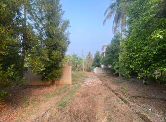 Residential Land for Sale in Ernakulam, Angamaly, Karukutty, Karipassery