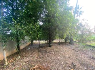 Residential Land for Sale in Ernakulam, Angamaly, Karukutty, Karipassery