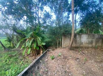 Residential Land for Sale in Ernakulam, Angamaly, Karukutty, Karipassery