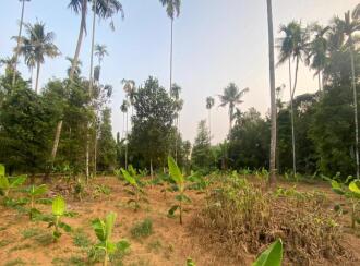 Residential Land for Sale in Ernakulam, Angamaly, Karukutty, Karipassery
