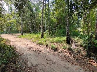 Residential Land for Sale in Alleppey, Kayamkulam, Karthikappally, Ambalamukku