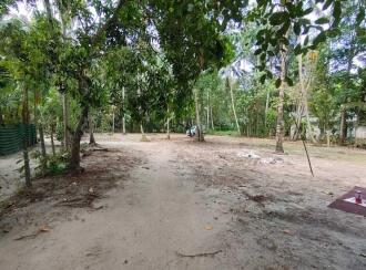 Residential Land for Sale in Alleppey, Kayamkulam, Karthikappally, Ambalamukku