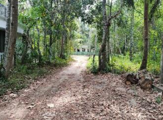 Residential Land for Sale in Alleppey, Kayamkulam, Karthikappally, Ambalamukku