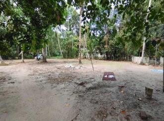 Residential Land for Sale in Alleppey, Kayamkulam, Karthikappally, Ambalamukku