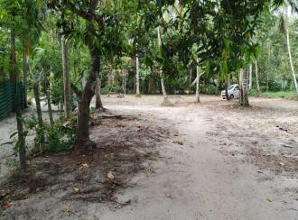 Residential Land for Sale in Alleppey, Kayamkulam, Karthikappally, Ambalamukku