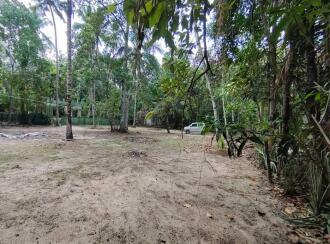 Residential Land for Sale in Alleppey, Kayamkulam, Karthikappally, Ambalamukku