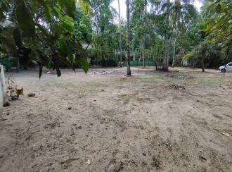 Residential Land for Sale in Alleppey, Kayamkulam, Karthikappally, Ambalamukku