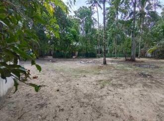 Residential Land for Sale in Alleppey, Kayamkulam, Karthikappally, Ambalamukku
