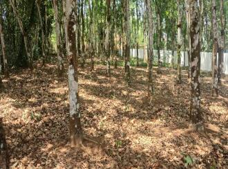 Residential Land for Sale in Alleppey, Mavelikara, Vettiyar, vettiyar