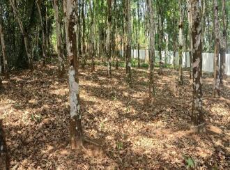 Residential Land for Sale in Alleppey, Mavelikara, Vettiyar, vettiyar