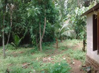 Residential Land for Sale in Pathanamthitta, Thiruvalla, Thottapuzhassery