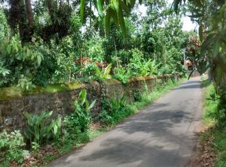 Residential Land for Sale in Pathanamthitta, Thiruvalla, Thottapuzhassery