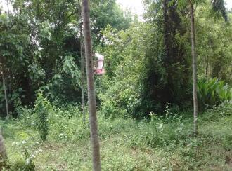 Residential Land for Sale in Pathanamthitta, Thiruvalla, Thottapuzhassery