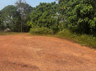 Residential Land for Sale in Ernakulam, Kanjiramattom, Kanjiramattom town, Gama junction