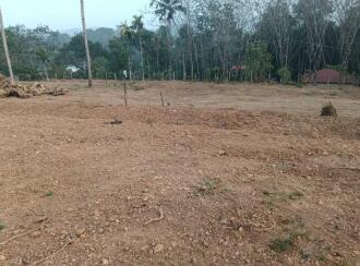 Residential Land for Sale in Pathanamthitta, Pandalam, Kurampala, Kurampala Pazhakulam Road
