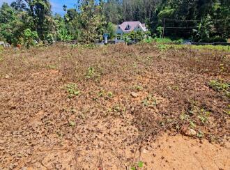 Residential Land for Sale in Pathanamthitta, Pathanamthitta, Pathanamthitta, NEAR ST. THOMAS COLLAGE CHIGAMUKKU PATHANAMTHITTA COLLAGE