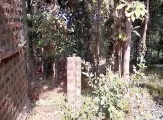 Agricultural Land for Sale in Kasargod, Kanhangad, Kanhangad, Porkkulam, near 7th Mile, Kasargod