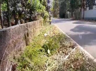 Agricultural Land for Sale in Kasargod, Kanhangad, Kanhangad, Porkkulam, near 7th Mile, Kasargod