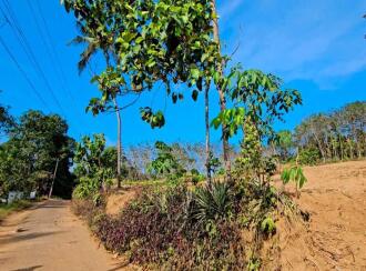 Residential Land for Sale in Kollam, Pathanapuram, Pathanapuram, https://maps.app.goo.gl/hgQRp6iJuiEffvTX8